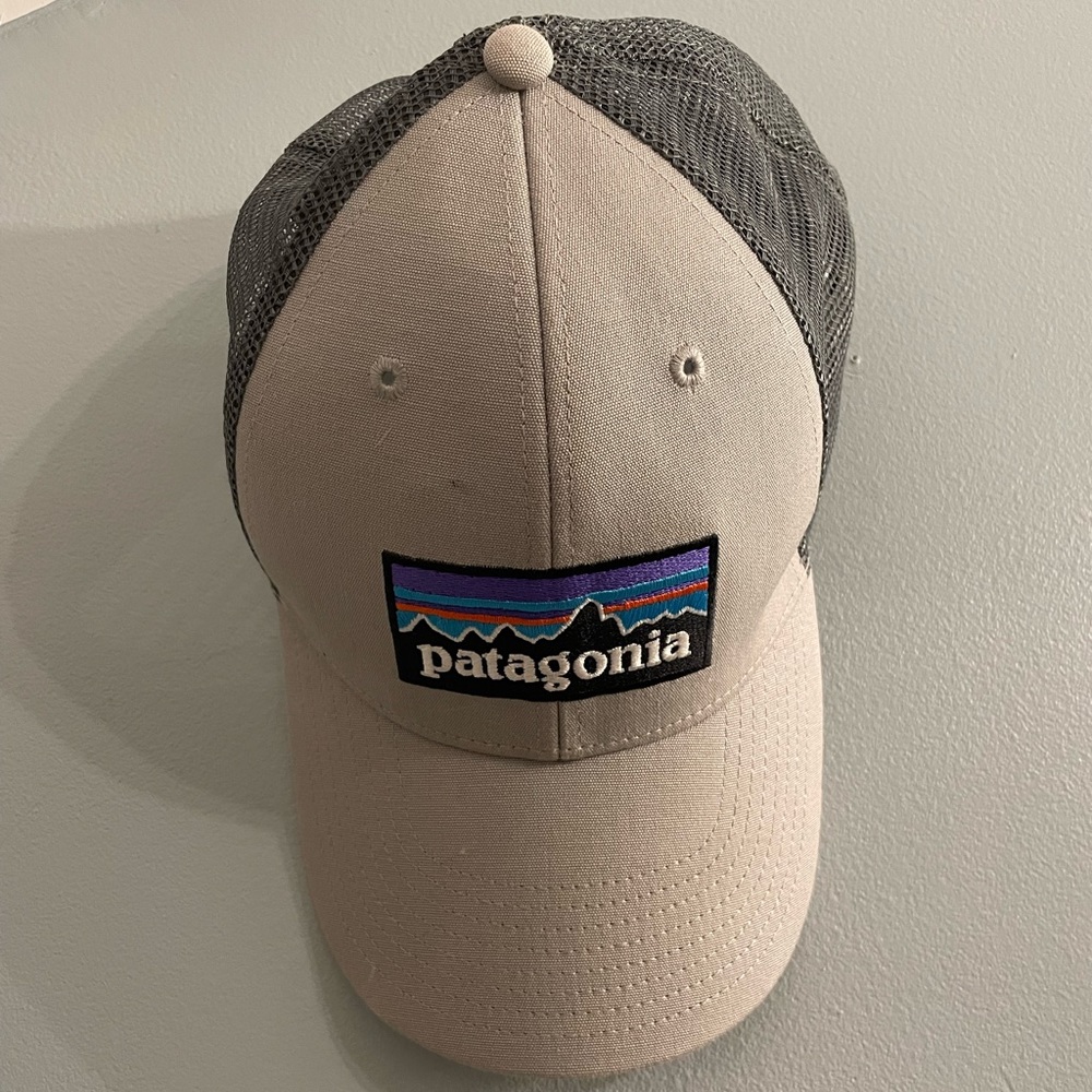 Grey Patagonia Trucker Hat